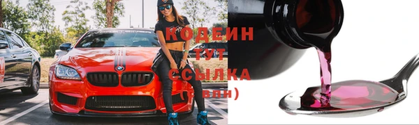 прущие грибы Нязепетровск