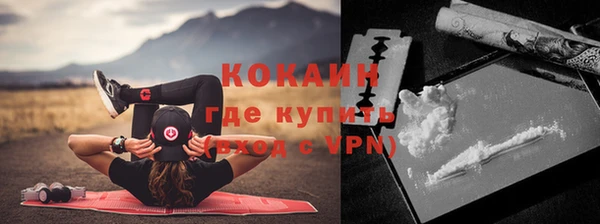 прущие грибы Нязепетровск