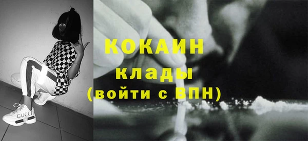 Альфа ПВП Няндома