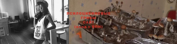 Альфа ПВП Няндома