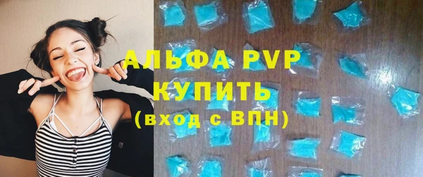 прущие грибы Нязепетровск