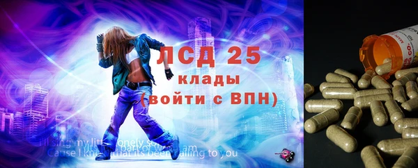 Альфа ПВП Няндома