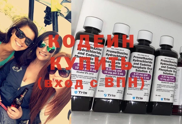 Альфа ПВП Няндома
