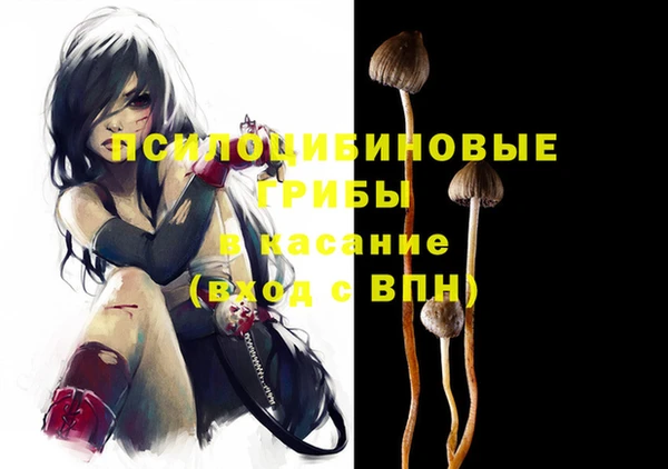 Альфа ПВП Няндома