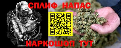 дмт Тара