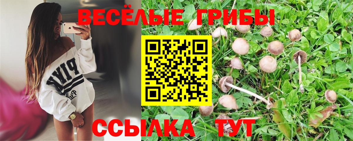 Галлюциногенные грибы Psilocybine cubensis  Вход с VPN  Отрадный 