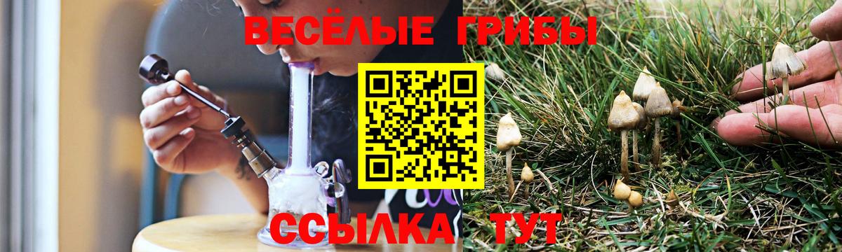 Псилоцибиновые грибы Psilocybine cubensis Отрадный