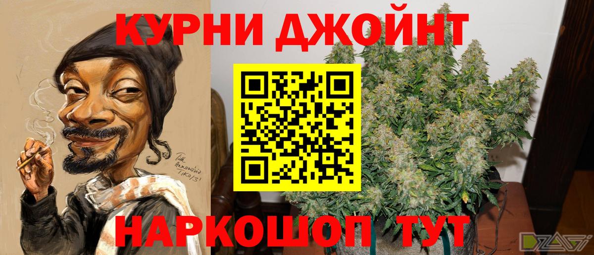 Каннабис MAZAR Отрадный